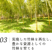 荒廃した竹林を再生し、豊かな資源としての竹林を育てる