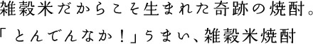 雑穀米だからこそ生まれた奇跡の焼酎。「とんでんなか！」うまい、雑穀米焼酎