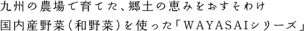 九州の農場で育てた、郷土の恵みをおすそわけ国内産野菜（和野菜）を使った「WAYASAIシリーズ」